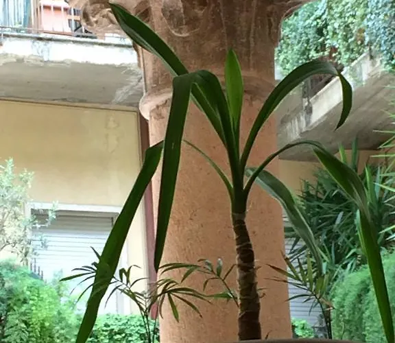 Romeo Design Maison d'hôtes Vérone